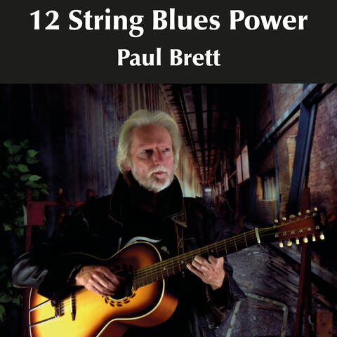 12 String Blues Power