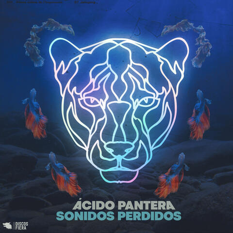 Sonidos Perdidos