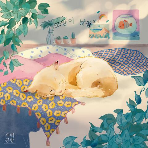 Cat's Nap zzZ