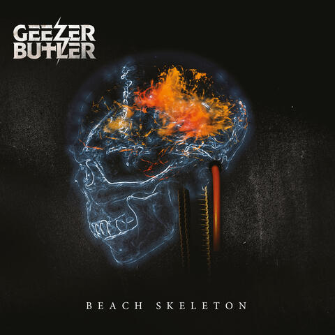 Beach Skeleton