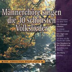 4 Lieder, Op. 75: III. Trinklied