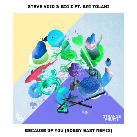 Because Of You (feat. Bri Tolani)