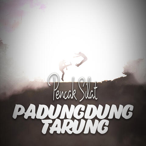 Pencak Silat Padungdung Tarung