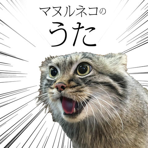 Pallas's cat song