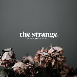 Last Summer Song