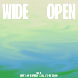 Wide Open (feat. Ta-ku & Masego)