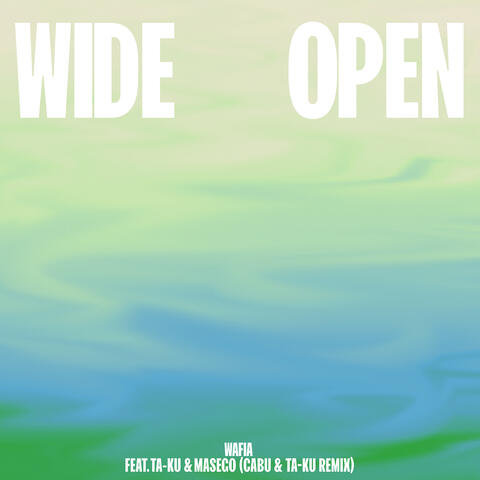 Wide Open (feat. Ta-ku & Masego)