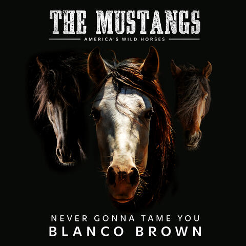 Never Gonna Tame You (Original Song from "The Mustangs: America's Wild Horses")