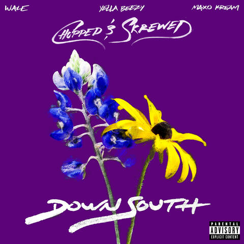 Down South (feat. Yella Beezy & Maxo Kream)