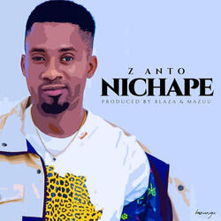 NICHAPE