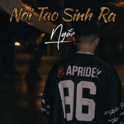 Nơi Tao Sinh Ra
