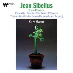 Sibelius: Lemminkäinen Suite, Op. 22 "Four Legends from the Kalevala": No. 2, The Swan of Tuonela