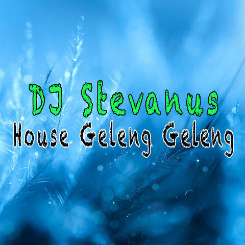 House Geleng Geleng