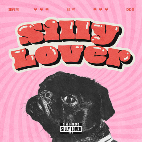 Silly Lover