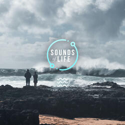 Extremely Windy Beach and Human Traffic, Pt. 46