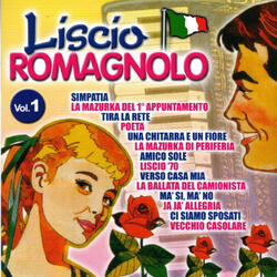 Una chitarra e un fiore