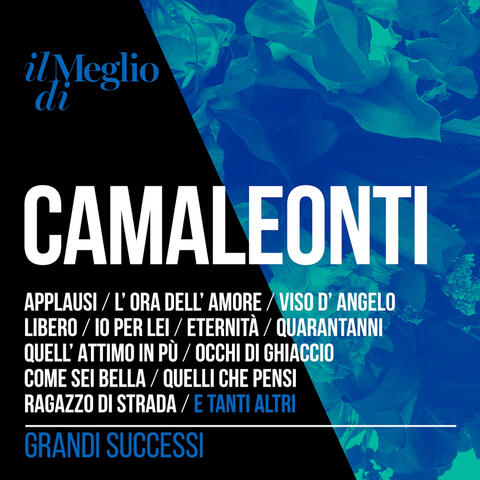 Il Meglio Di Camaleonti: Grandi Successi