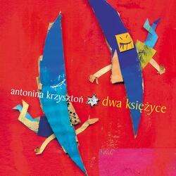 Dwa ksi??yce