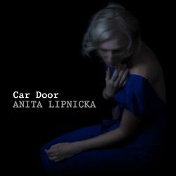 Car Door