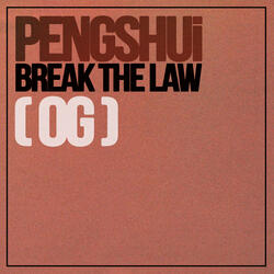 Break The Law
