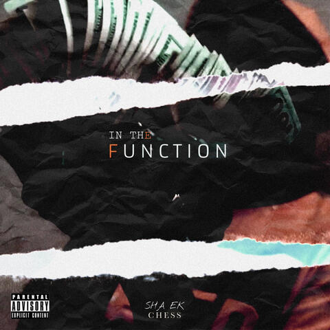 In the Function (feat. Chess)