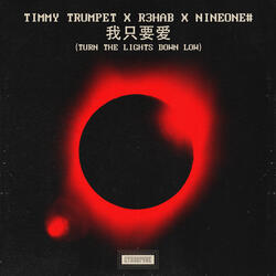 Turn The Lights Down Low (Chinese Version)