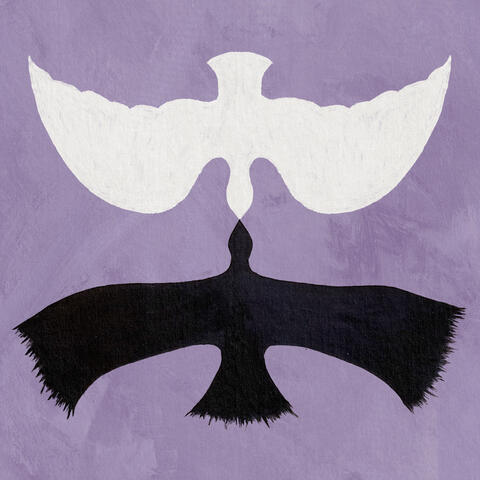 Lavender Forever