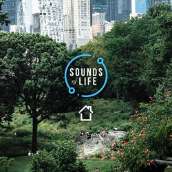 City Sounds - Boats and Background Construction, Pt. 1