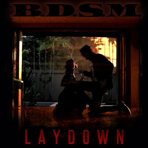 B.D.S.M. - Big Dick Sex Machine
