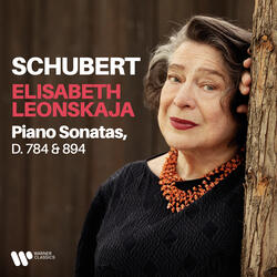 Schubert: Piano Sonata No. 14 in A Minor, Op. Posth. 143, D. 784 "Grande sonate": II. Andante