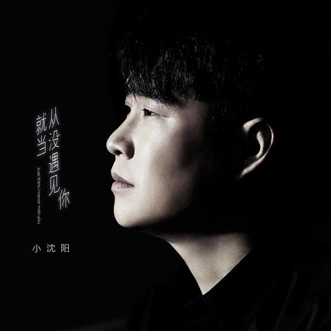 就當從沒遇見你