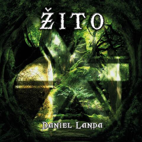 Žito