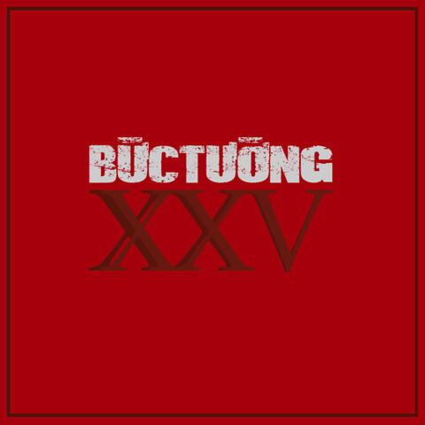 XXV