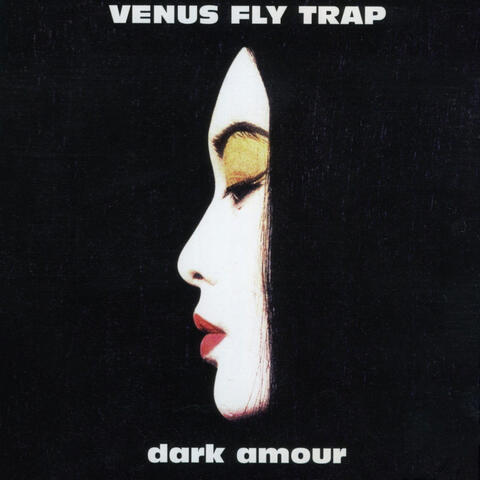 Dark Armour