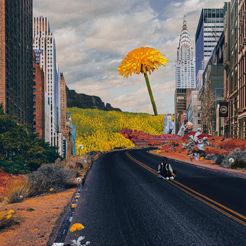 Street Flowers