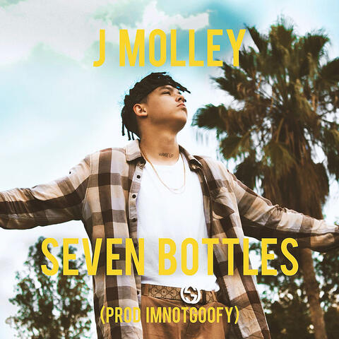 Seven Bottles