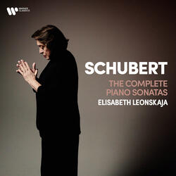Schubert: Piano Sonata No. 14 in A Minor, Op. Posth. 143, D. 784 "Grande sonate": II. Andante
