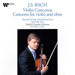 Bach, JS: Violin Concerto No. 2 in E Major, BWV 1042: II. Adagio