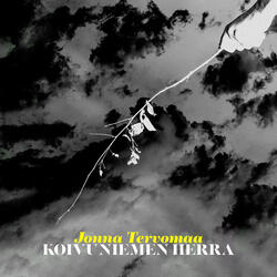 Koivuniemen herra
