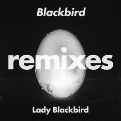 Blackbird