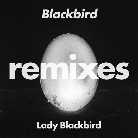 Blackbird