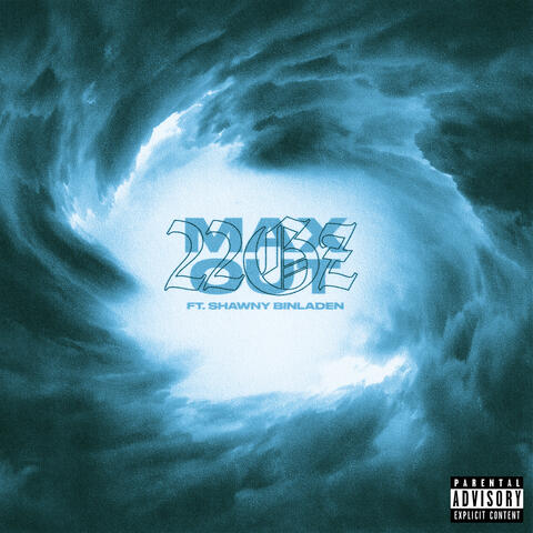 Max Out (feat. Shawny Binladen)