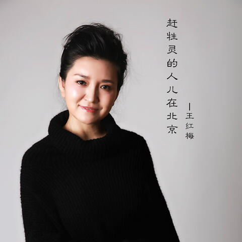 趕牲靈的人兒在北京