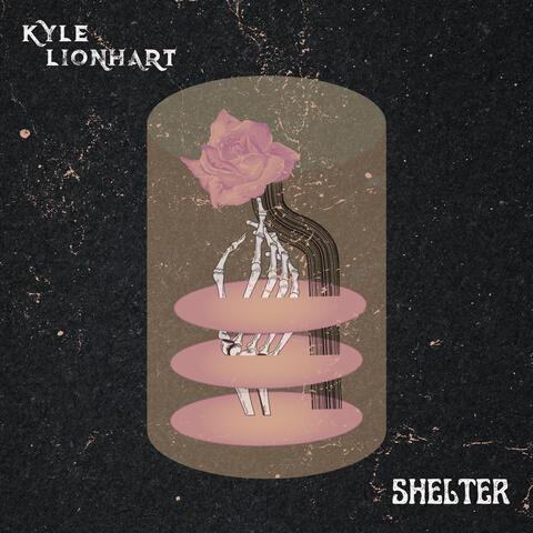 Shelter