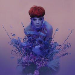 Lavender Forever