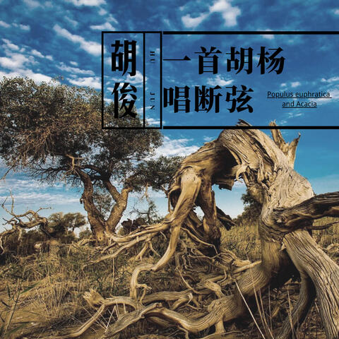 一首胡楊唱斷弦