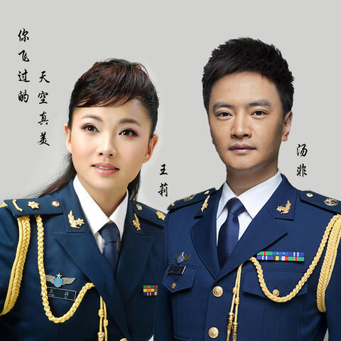 你飛過的天空真美