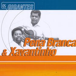 Vaca Estrela e Boi Fubá