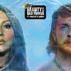 Beauty in The Bad Things (feat. Charlotte Sands)