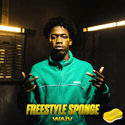 Freestyle Sponge